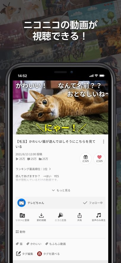 niconicov6.65.0下载?3: