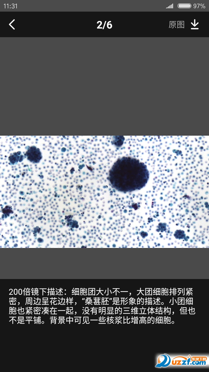 爱病理官方版正版下载图片1