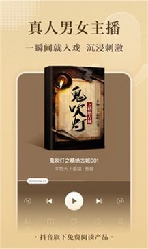 番茄免费小说appv5.5.1.66下载图片1