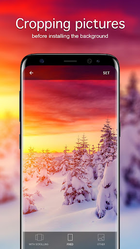 Winter wallpapers冬季壁纸高清版v11.04.2020下载?3: