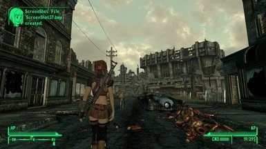 辐射3枪械mod下载安装v1.0.0图3: