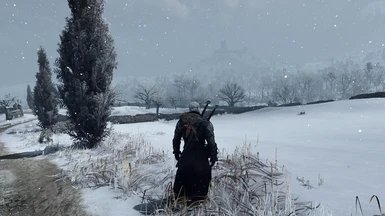 巫师3血与酒mod下载v1.0.0图3: