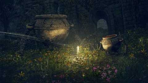 艾尔登法环第一人称视角MOD免费下载v1.0.01图2: