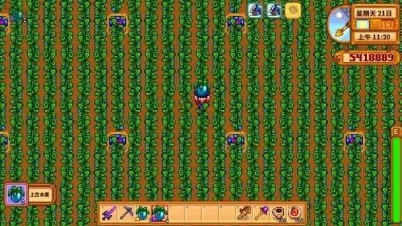 星露谷物语三花猫MOD最新下载图2: