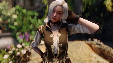 上古卷轴5公主随从mod下载v1.0.0图3: