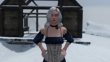 上古卷轴5公主随从mod下载v1.0.0图片1