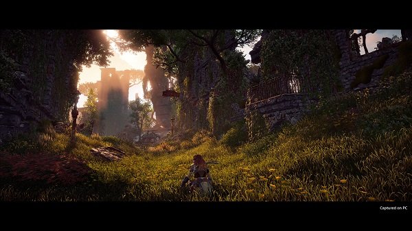 地平线黎明时分美化mod下载免费v1.0图2: