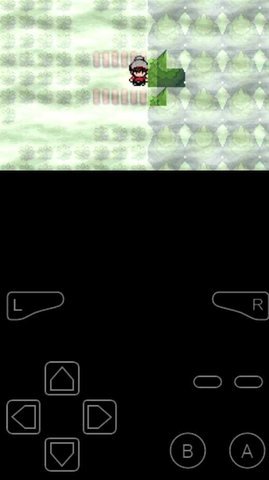 口袋妖怪剑盾10.2汉化版安卓版下载v1.0图2: