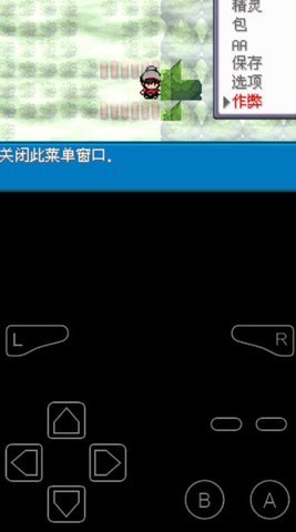口袋妖怪剑盾10.2汉化版安卓版下载v1.0图3: