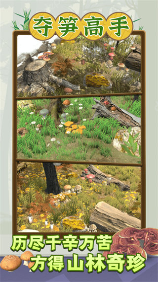 夺笋高手官方正版最新版图3: