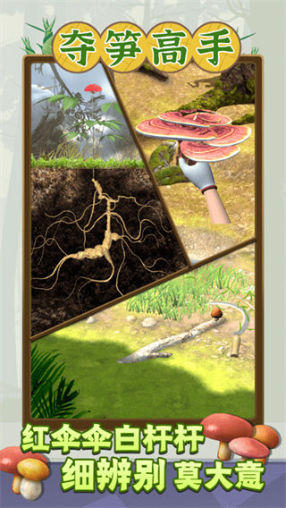 夺笋高手官方正版最新版图2: