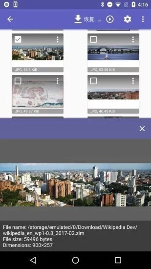 DiskDigger pro2023安卓最新版下载?3: