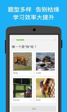 Duolingo官方版软件下载图片1