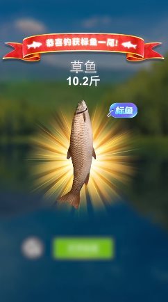 万宁钓鱼手机版下载图2: