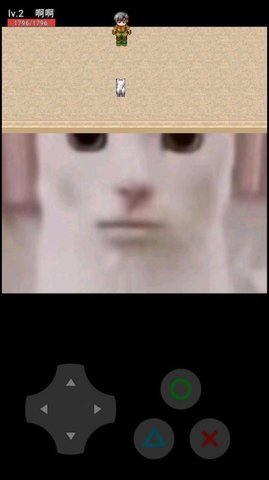 猫咪惊魂最新安卓版下载图1: