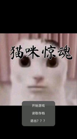 猫咪惊魂最新安卓版下载图2: