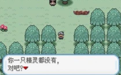 口袋妖怪火箭队汉化版金手指下载图3: