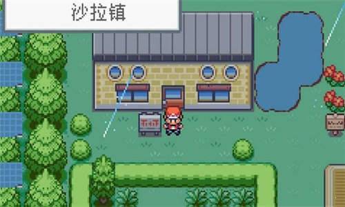 口袋妖怪火红全随机版下载安装v1.0.4图3: