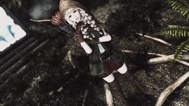上古卷轴5龙娘随从mod下载安装v1.0图3: