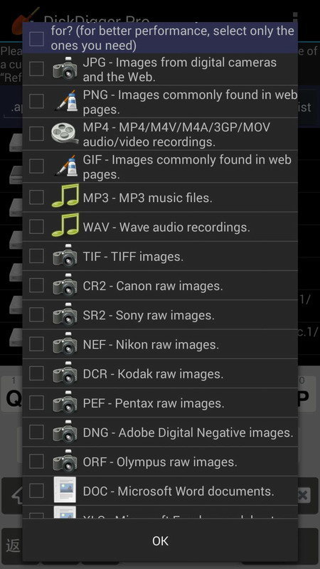 diskdigger pro汉化版安卓版下载v1.0图5: