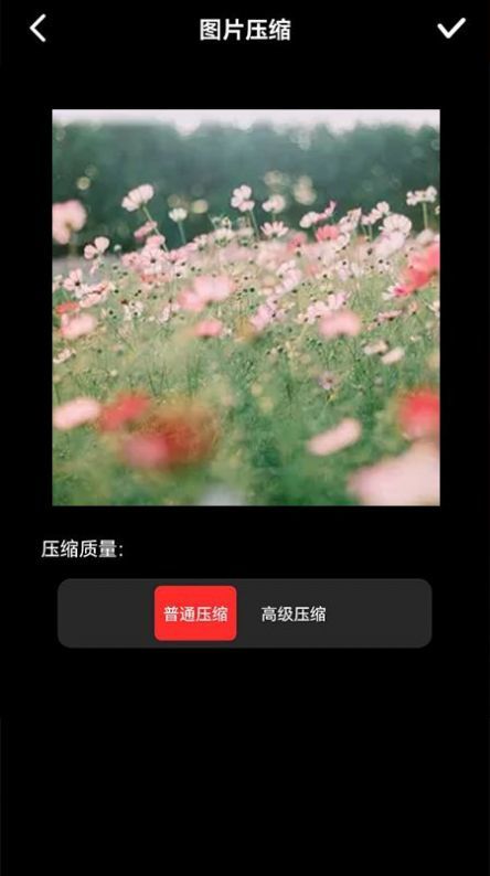 图像压缩器官方版下载?3: