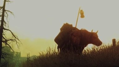 辐射3画质增强enb补丁最新版下载v1.0图3: