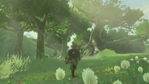 塞尔达传说荒野之息第一人称MOD下载v4.8.6.6图3: