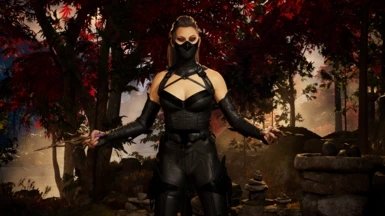 真人快打160帧补丁下载安装v1.0图3: