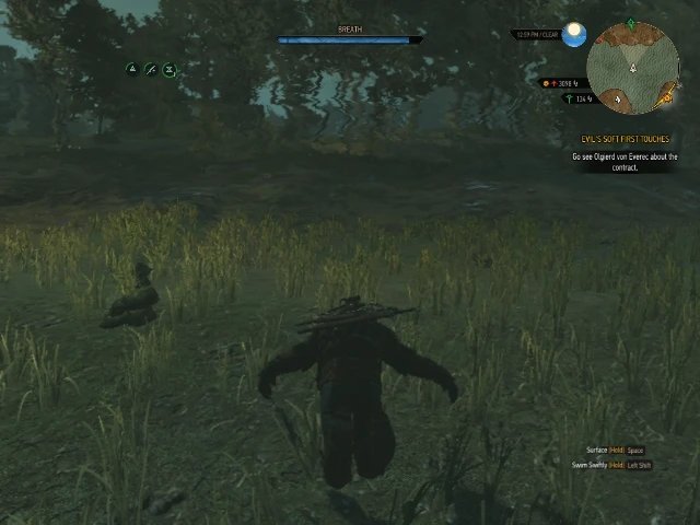 巫师3相机mod2023最新版下载v1.1图2: