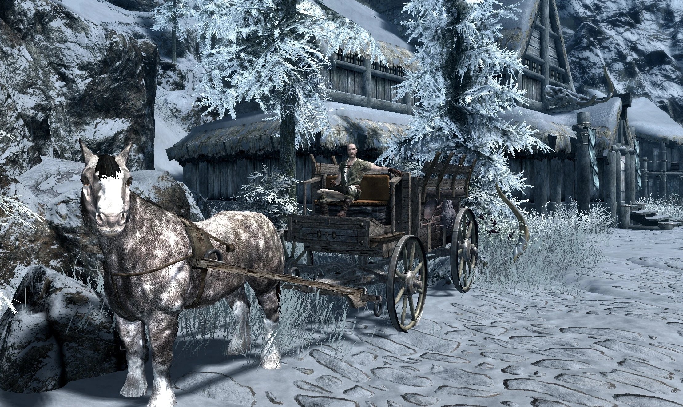上古卷轴5马车mod族系那般下载v1.3.1图2: