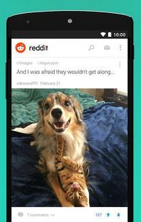 reddit中文版下载v2.8.4图1: