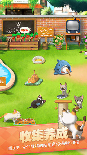 猫语咖啡旧版本游戏下载v1.3.1图3:
