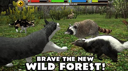 流浪猫模拟器中文版手机版下载V1.3图2: