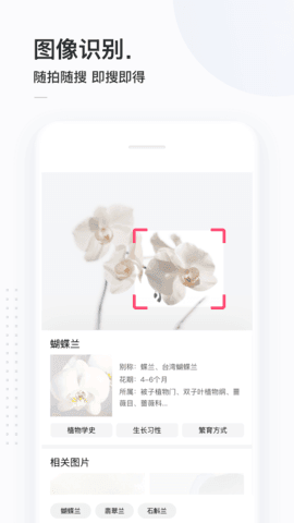 简单搜索app下载?1: