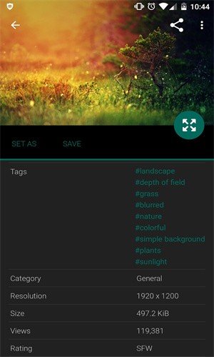 wallhaven中文手机版v7.7.7下载?2: