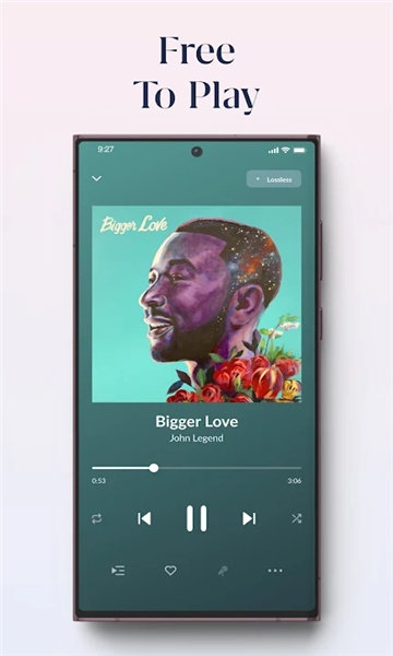 roon arc音乐播放器最新版下载?1:
