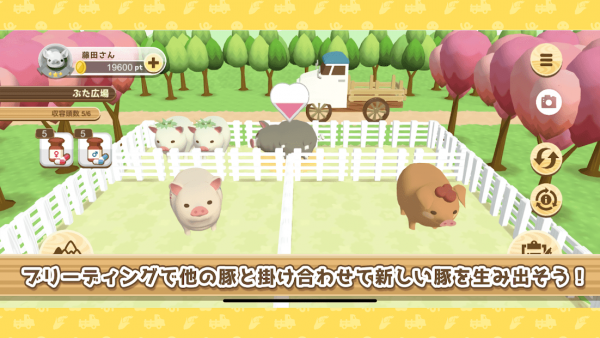 养猪场3D最新版下载安装v1.0.0图1: