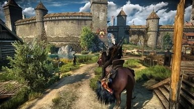 巫师3凯尔莫罕之战存档下载v1.0.0图片1