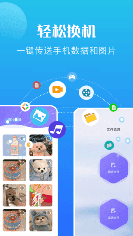 手机恢复教程手机版下载?1: