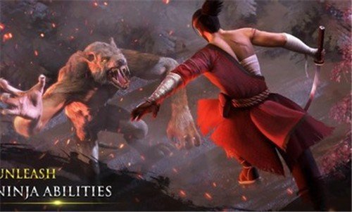 忍者武士隆v2.6.6下载图1: