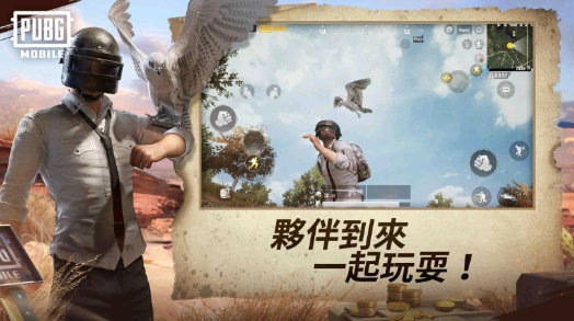 pubg轻量版北辰轻体直装V10最新版2023v10下载图3: