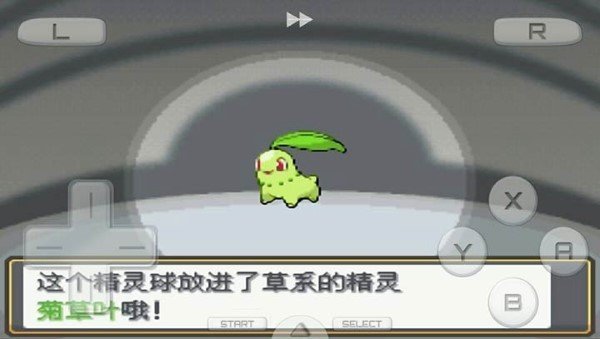 口袋妖怪心金手机版下载安装v3.0图片1