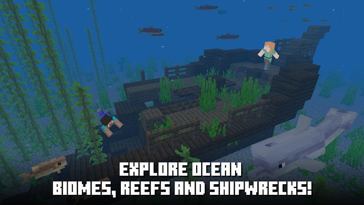 minecraftjava免费v1.16.221.01下载图3: