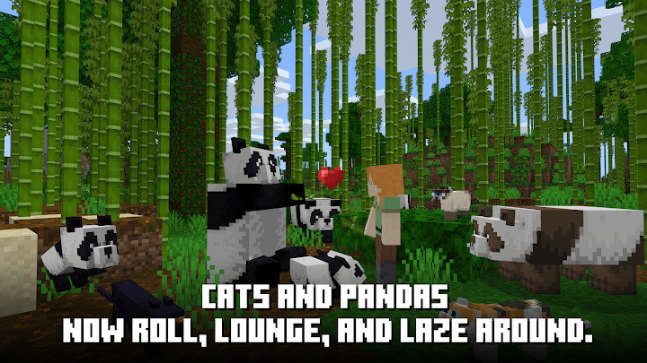 minecraftjava免费v1.16.221.01下载图2: