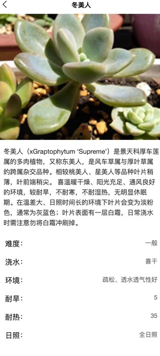 绿意植物安卓版图片1