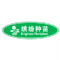 缤纷种苗