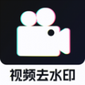免费视频去水印大师软件