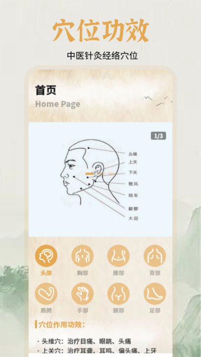 中医经络穴位图谱软件手机版?1: