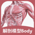 解剖模型Body安卓版