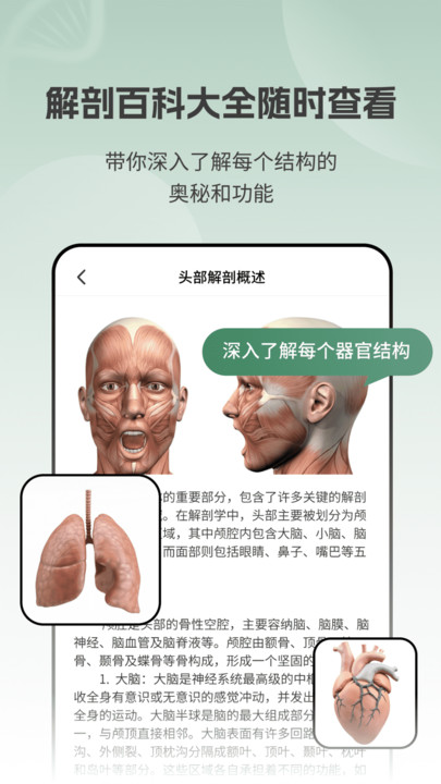 解剖模型Body软件手机版下载?1: